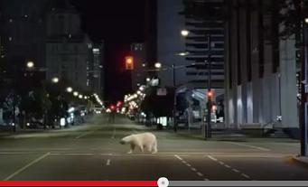 Polar_Bear_Comes_to_Big_City_TV_Ad_Leaf_Nissan