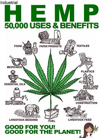 Industrial Hemp Uses and Benefits
