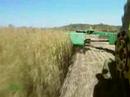 CNBC Switchgrass - Grassoline