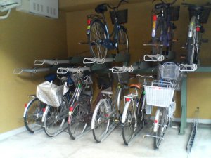 Japan_Bike_Park.jpg