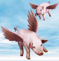 Pigs Might Fly