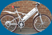 Ecolux electric bike