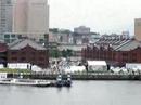 View from Pier of Eco Car World 